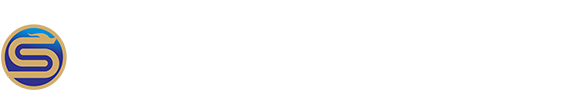 河南盛世航空服务有限责任公司